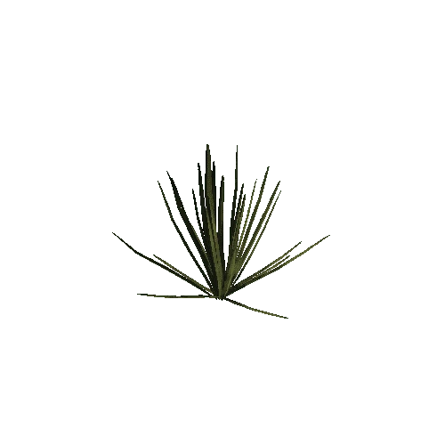 Plant 07